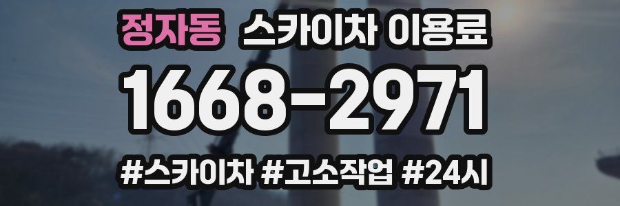 정자동 스카이차 이용료