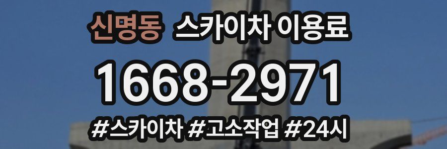 신명동 스카이차 이용료