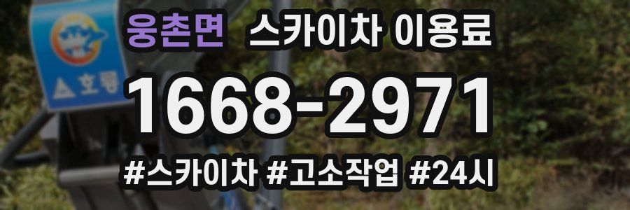 웅촌면 스카이차 이용료