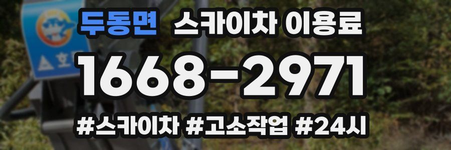 두동면 스카이차 이용료