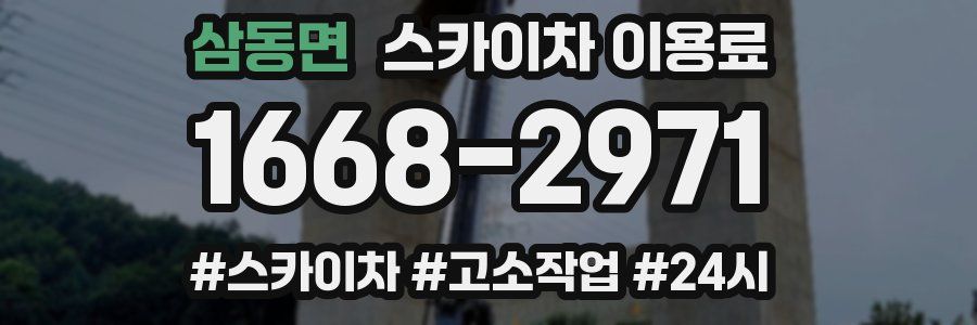 삼동면 스카이차 이용료