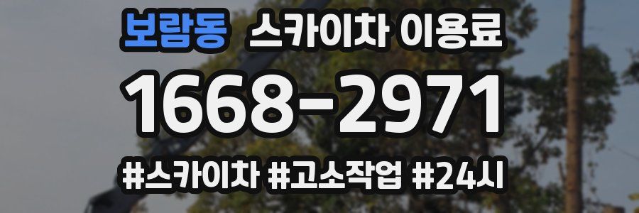 보람동 스카이차 이용료