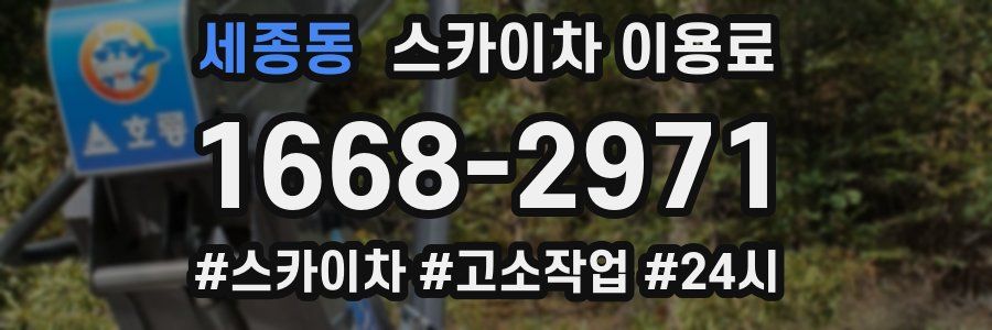 세종동 스카이차 이용료