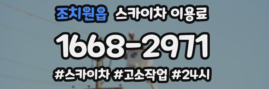 조치원읍 스카이차 이용료