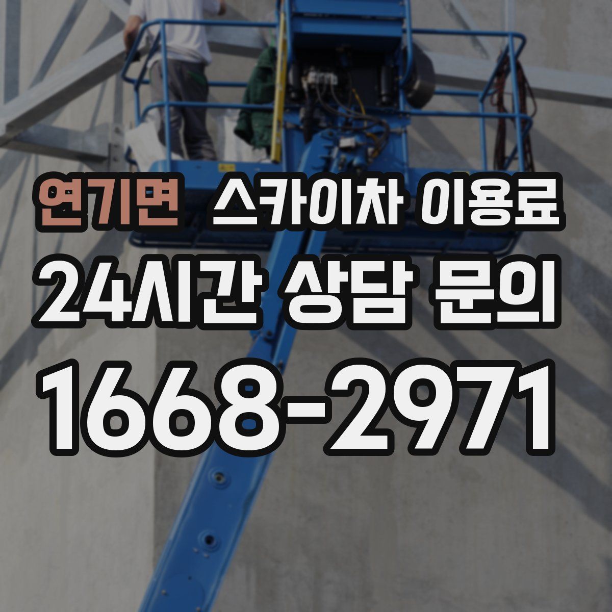 연기면 스카이차 이용료