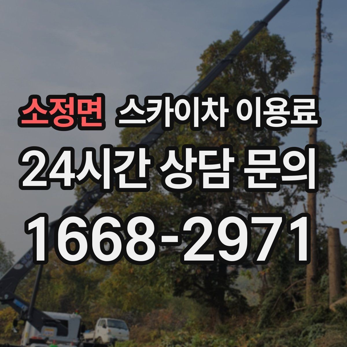 소정면 스카이차 이용료 산정에서 현장 특성이 반영되는 방식