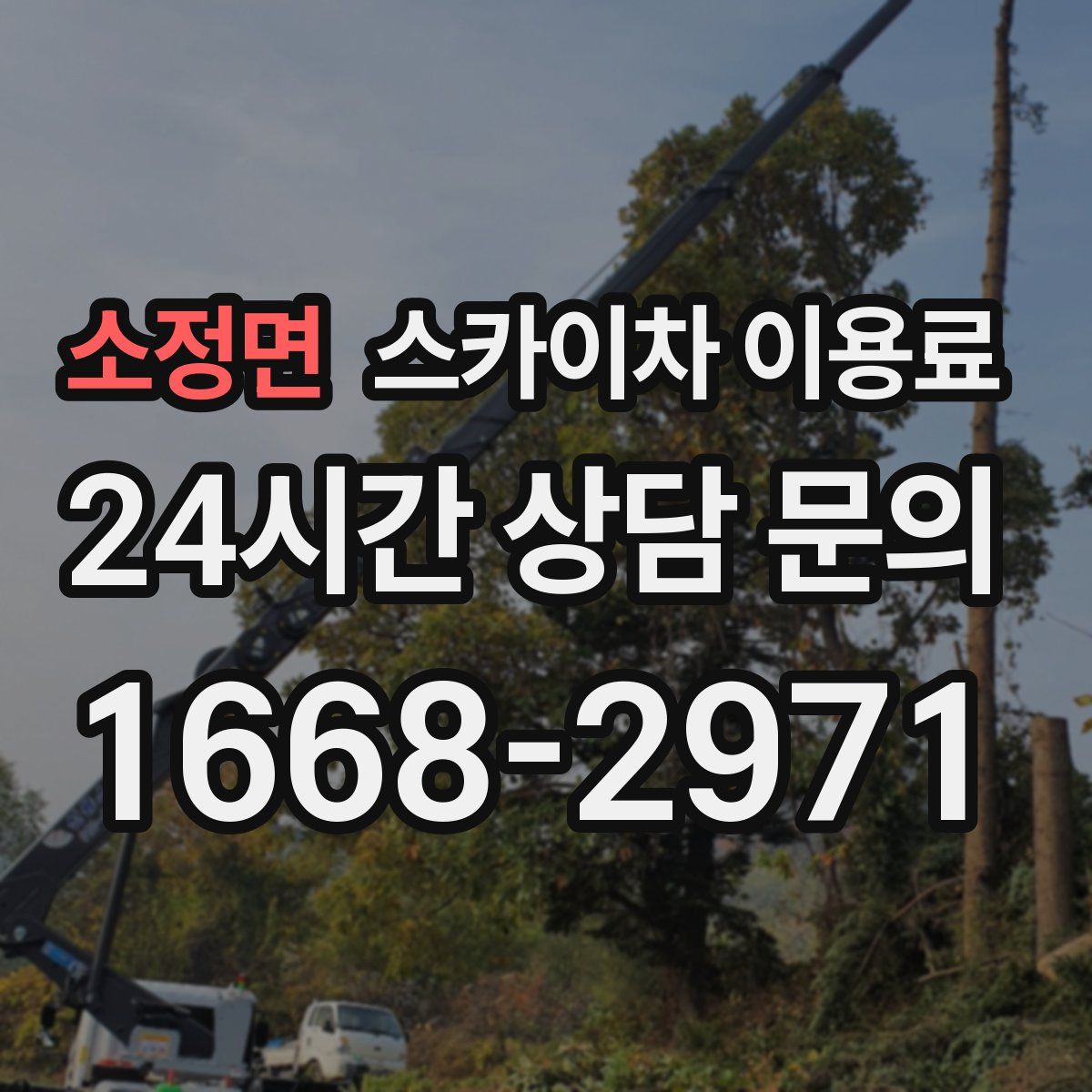 소정면 스카이차 이용료