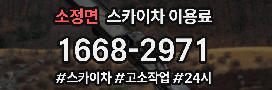 소정면 스카이차 이용료