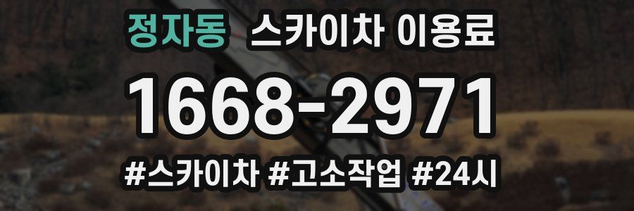 정자동 스카이차 이용료