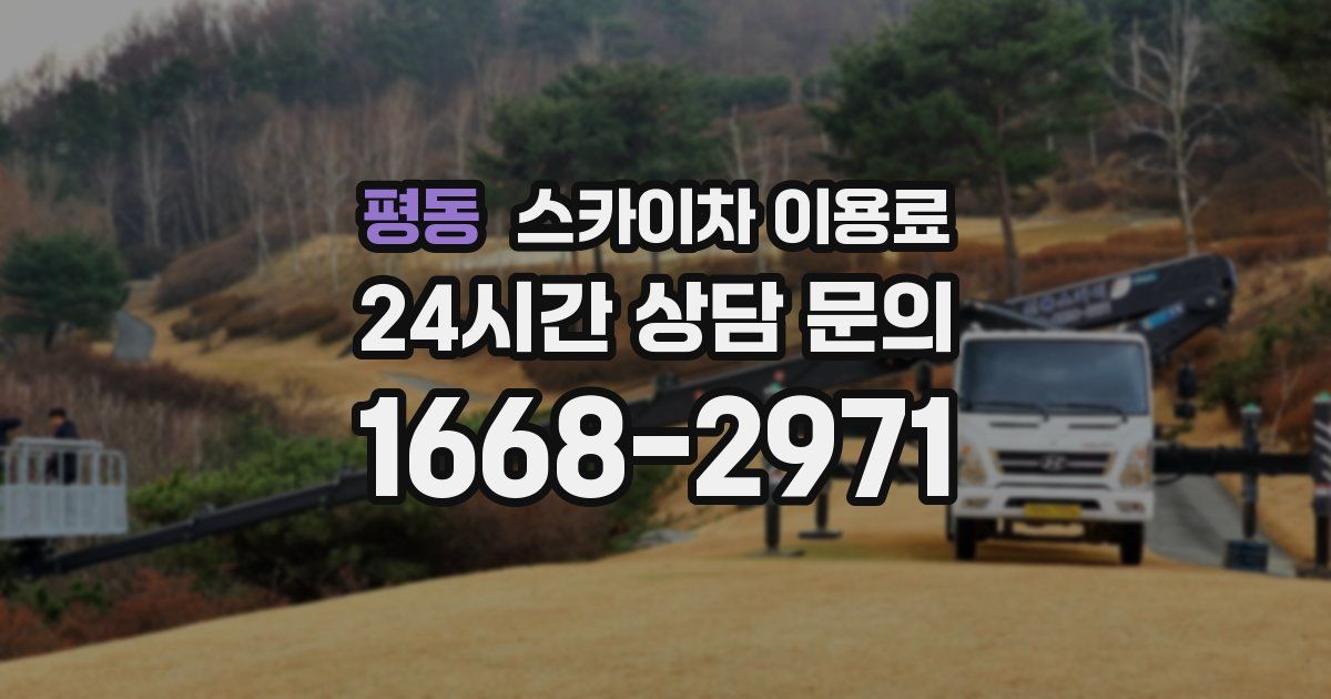 평동 스카이차 이용료
