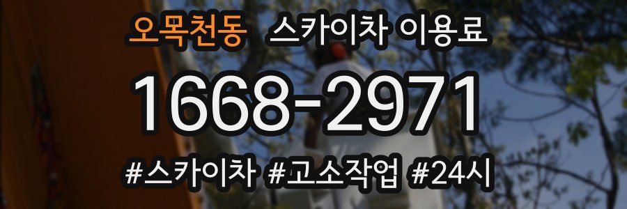 오목천동 스카이차 이용료
