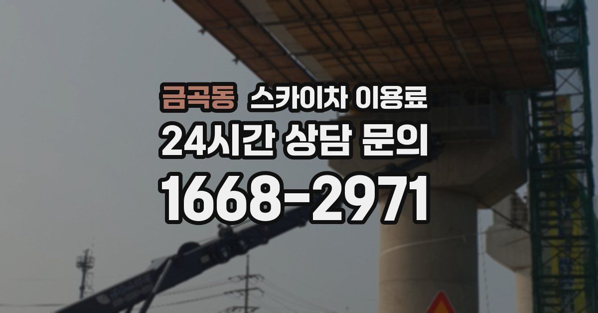 금곡동 스카이차 이용료