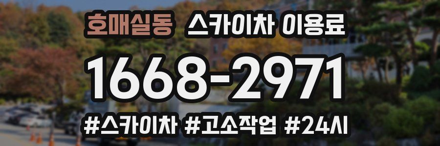 호매실동 스카이차 이용료