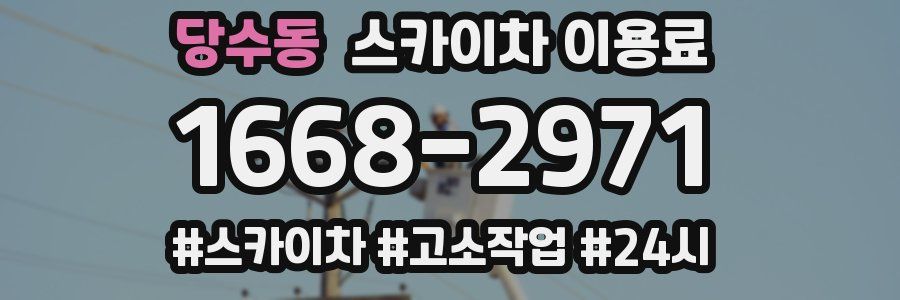 당수동 스카이차 이용료