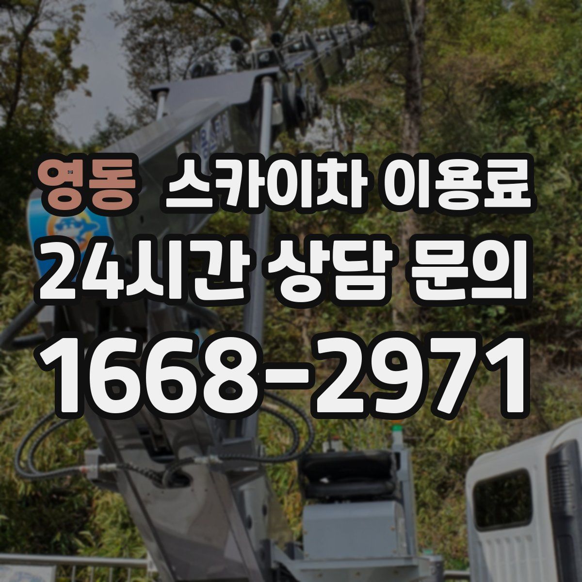 영동 스카이차 이용료