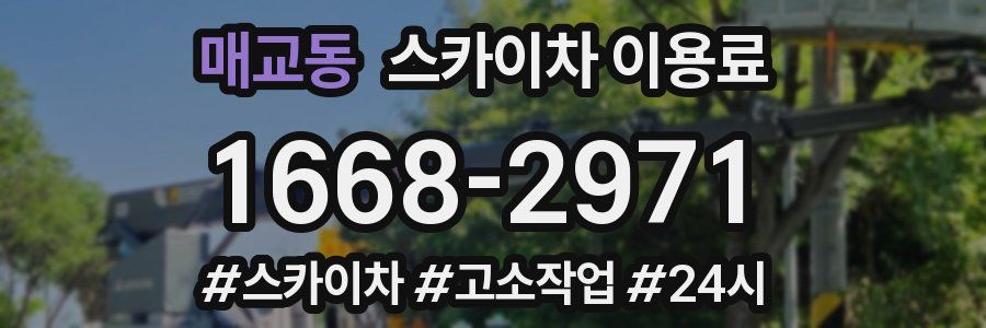 매교동 스카이차 이용료