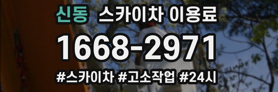 신동 스카이차 이용료
