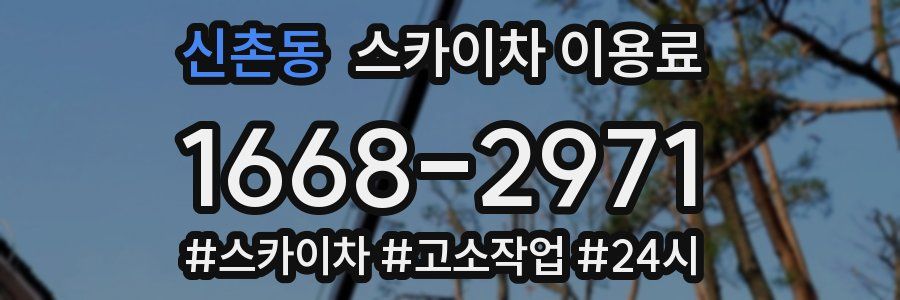 신촌동 스카이차 이용료