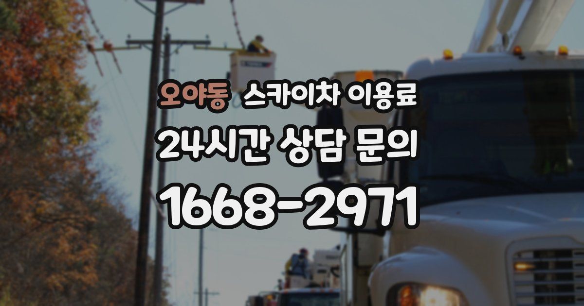 오야동 스카이차 이용료