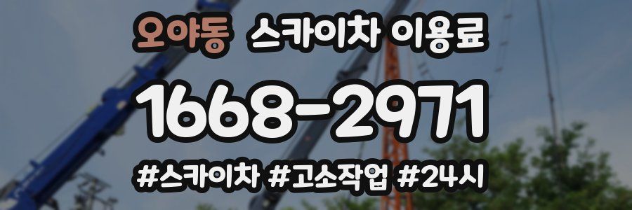 오야동 스카이차 이용료