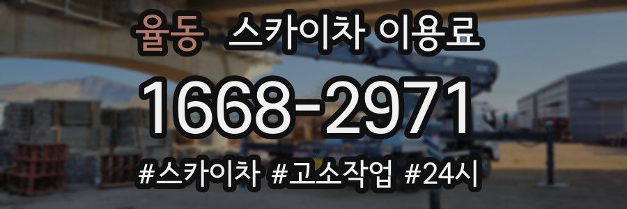 율동 스카이차 이용료