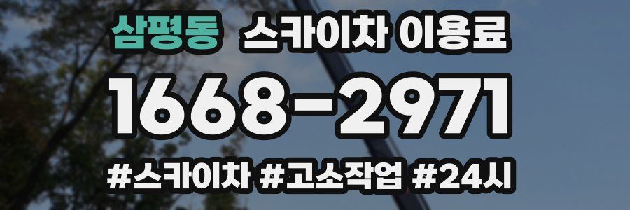 삼평동 스카이차 이용료