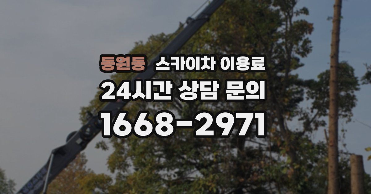 동원동 스카이차 이용료