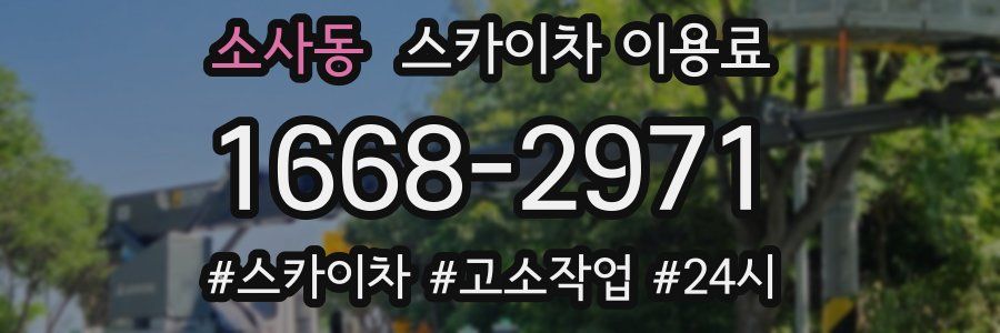 소사동 스카이차 이용료