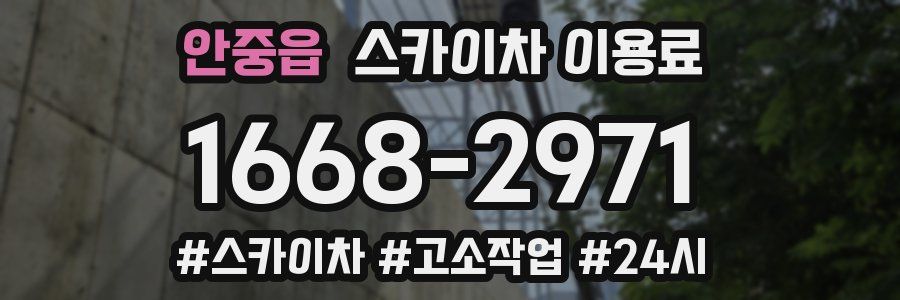 안중읍 스카이차 이용료