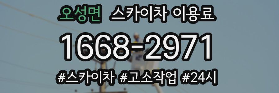 오성면 스카이차 이용료