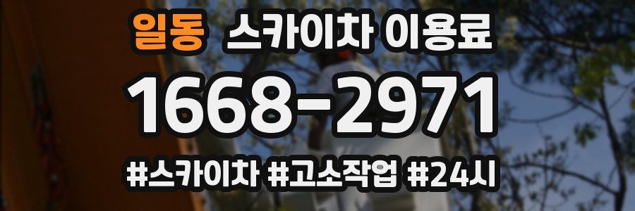일동 스카이차 이용료