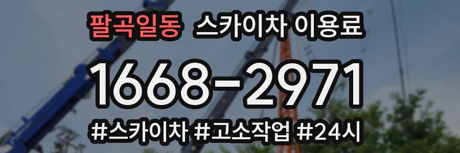 팔곡일동 스카이차 이용료