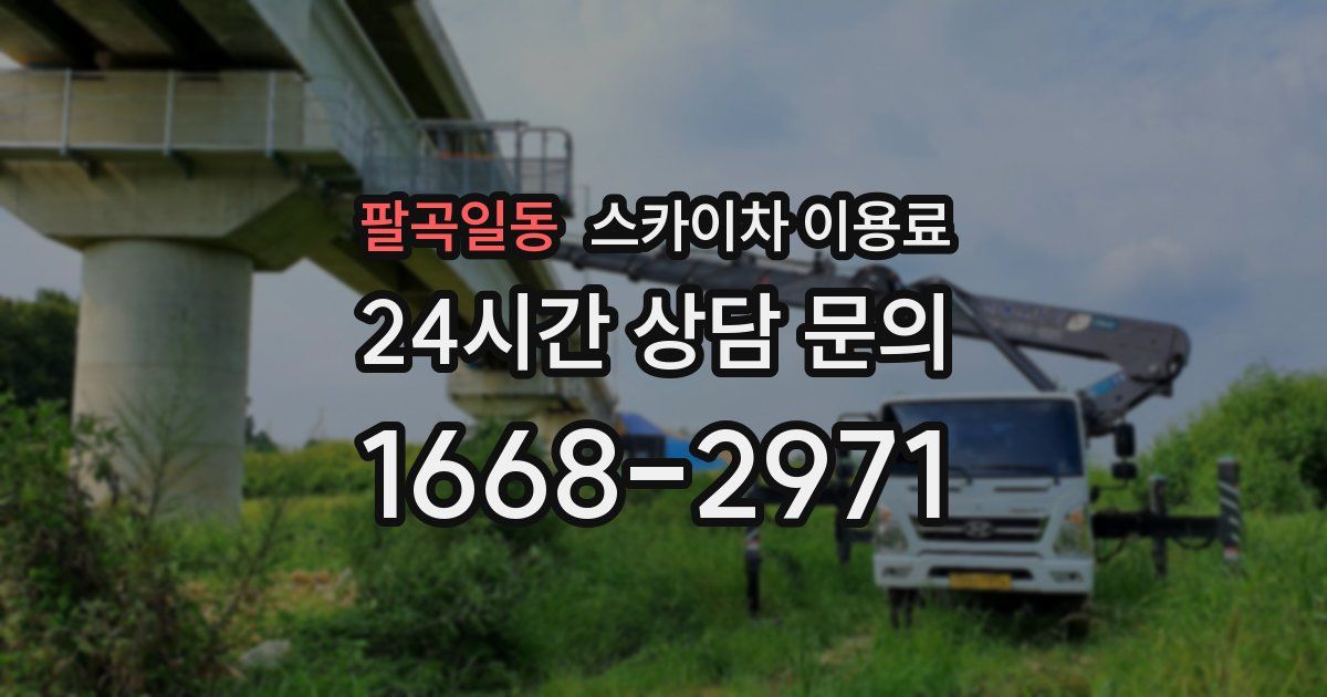 팔곡일동 스카이차 이용료