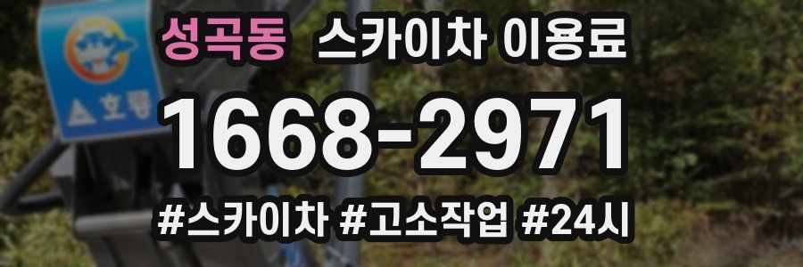 성곡동 스카이차 이용료