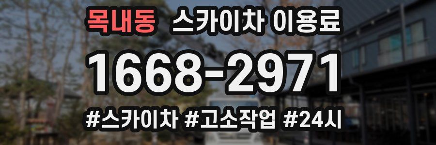 목내동 스카이차 이용료