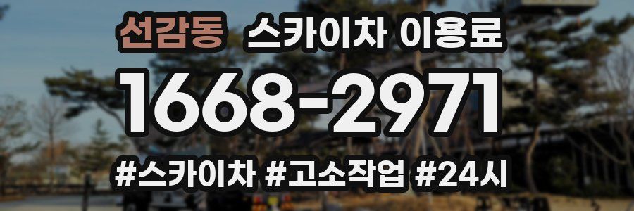 선감동 스카이차 이용료