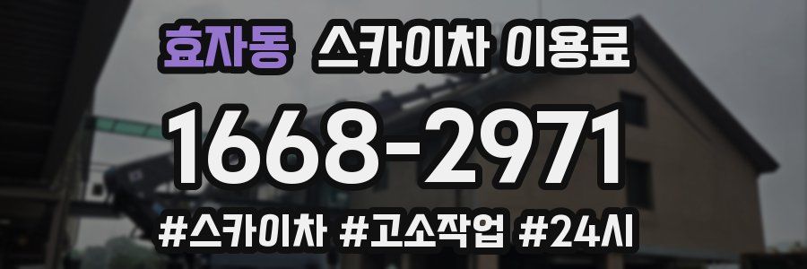 효자동 스카이차 이용료