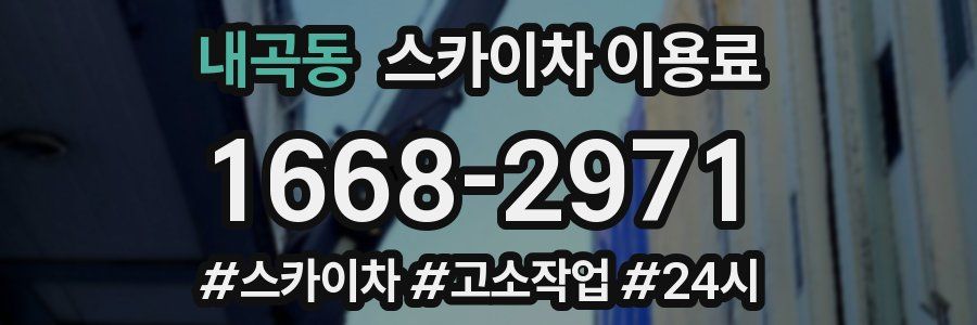 내곡동 스카이차 이용료