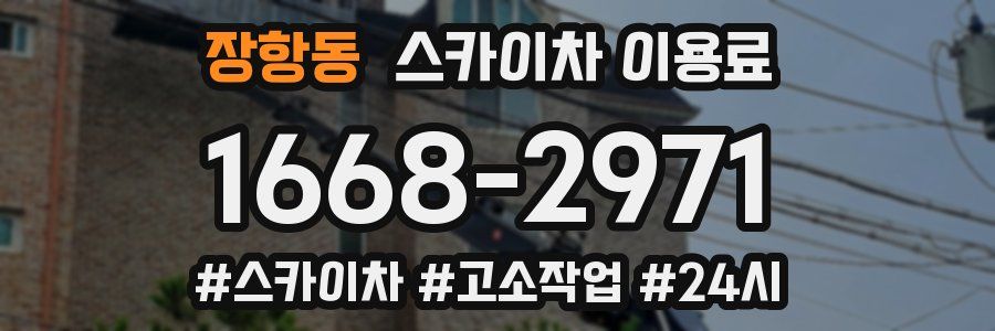 장항동 스카이차 이용료