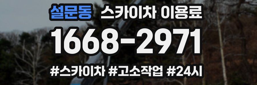설문동 스카이차 이용료