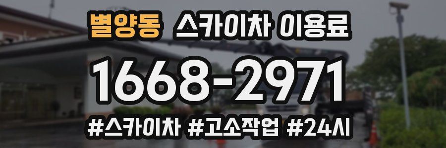 별양동 스카이차 이용료