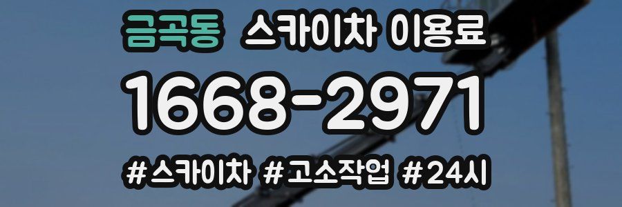 금곡동 스카이차 이용료