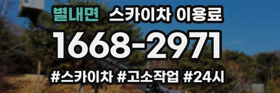 별내면 스카이차 이용료