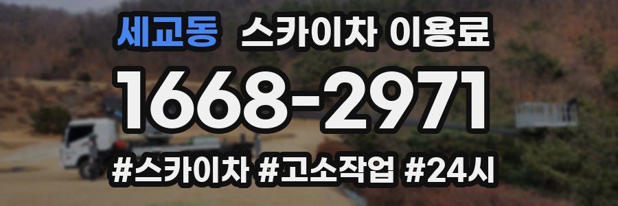 세교동 스카이차 이용료