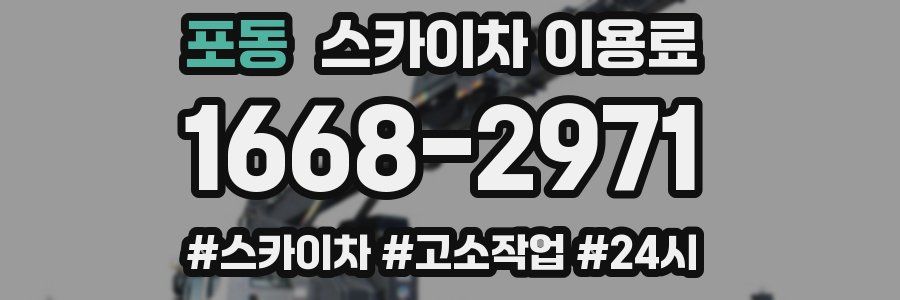 포동 스카이차 이용료