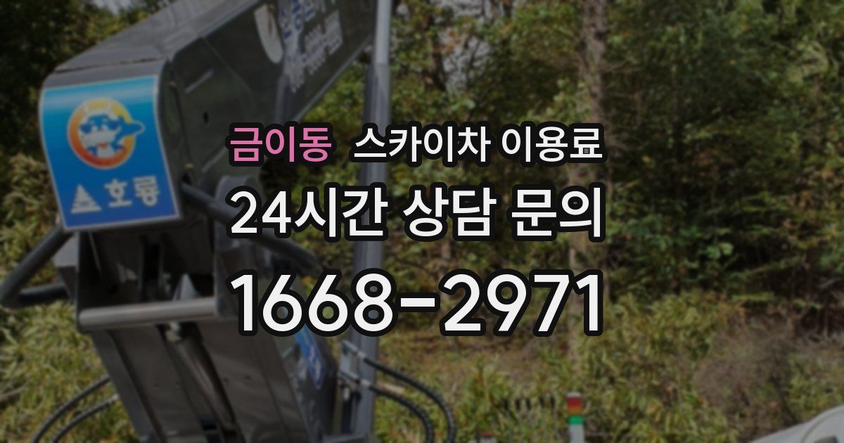 금이동 스카이차 이용료