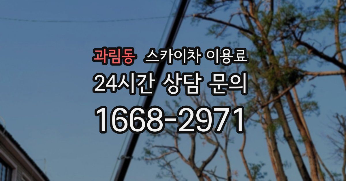 과림동 스카이차 이용료