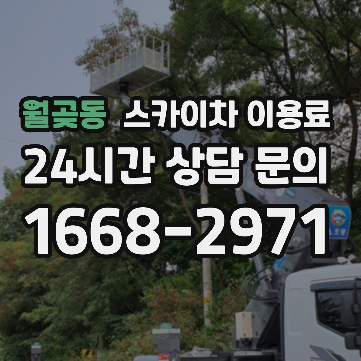 월곶동 스카이차 이용료 상담 시 현장 사진이 필요한 이유