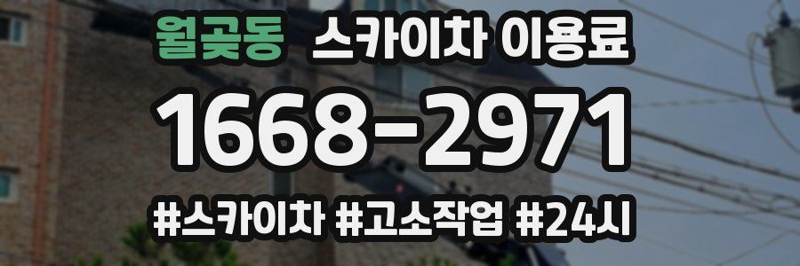 월곶동 스카이차 이용료