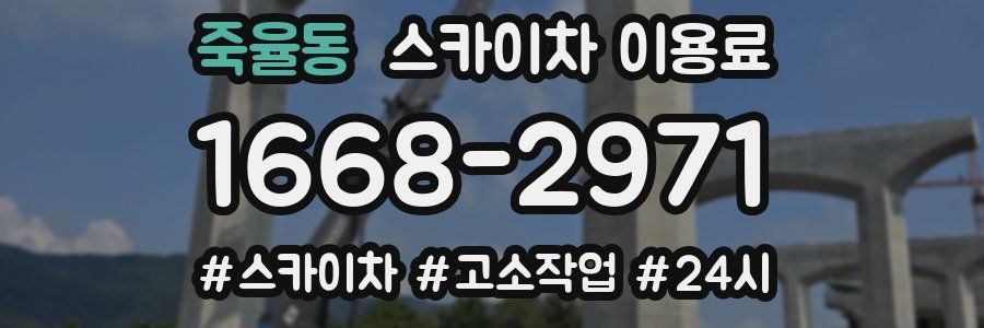 죽율동 스카이차 이용료